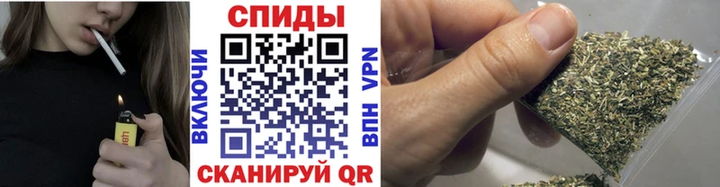 Бутират буратино  Купить  Игарка 