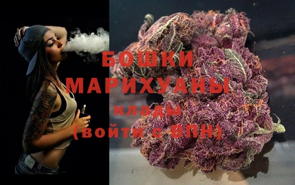 кокс Ельня