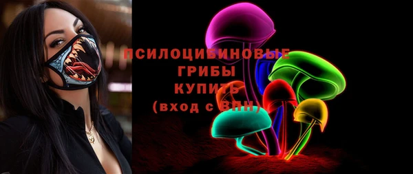 кокс Ельня