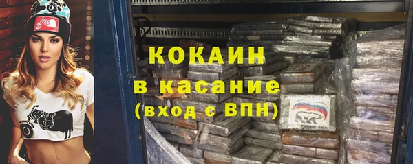 кокс Ельня